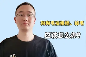 别小看维生素这种营养品，对付狗狗掉毛、修复皮肤，便宜又好用