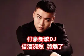 付豪新歌DJ：借酒浇愁 ，嗨爆了