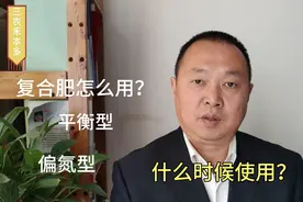水稻施用复合肥有技巧，用错了还不知道，浪费金钱水稻还容易生病视频封面