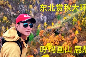 东北赏秋大环线第十二天，你不知道的美景～呼玛画山和鹿鼎山视频封面
