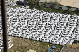 小伙站在楼顶上看楼下停满了几百辆崭新的小轿车，都长草了没人管视频封面