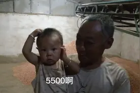 老杨在家收粮食，一天赚了5500块视频封面