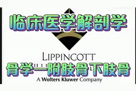 人体解剖学全套教程（骨学一附肢骨下肢骨）