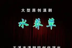 滇剧：《水莽草》，主演：林元涛视频封面