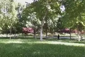 张宇的《舍得》有舍就有得，放弃的不一定是好的！