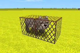 迷你世界：狗笼子教学 如何把狗关进笼子 让它乖乖听话