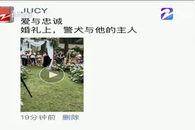 爱与忠诚！婚礼上，警犬与他的主人...视频封面