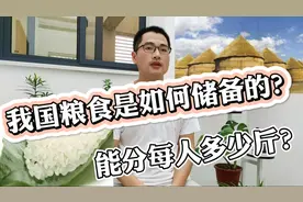 中国存储粮有多少？都是怎么存储的？粮仓怎么存储这么多粮食视频封面