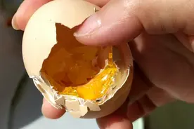 鸡蛋坏了没臭，却结晶了，这种鸡蛋还能吃吗