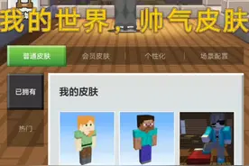 我的世界，帅气皮肤，千万不要错过呀！视频封面