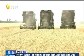 “稳”字当头 质效提升 陕西经济稳步迈向高质量发展视频封面