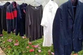 农民大哥干净整洁令人折服！屋里一尘不染，看着就让人舒服。视频封面