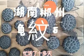 湖南郴州龟紋:山上捡的原石，经过十几天的努力终于成了龟紋石！