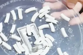 家里用剩的蚊香灰不要扔，1把撒盆里蚊虫全不见，花越长越茂盛视频封面