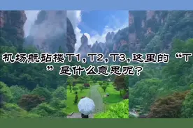 机场航站楼T1,T2,T3，意思你明白吗？