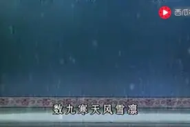 豫剧《亲爹后娘》视频封面