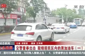 同一辆面包车却使用两副车牌，交警顺藤摸瓜，打开车门后真相大白视频封面