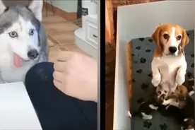 看我的眼神，你难道还不懂吗！