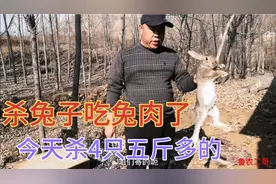 给吉林的朋友杀4只5斤多的比利时兔，带皮才好吃