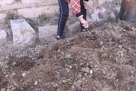 现场教学怎么种可爱美味健康的红豆，简单易学又实用！视频封面