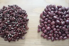 哪些人不适合喝红豆薏米汤？用赤小豆与红豆做汤有啥区别？