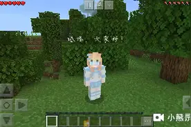 我的世界第一期:如果你懂怎么录制视频的话可以指点一下我，谢谢