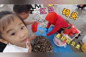 全青岛最好的贝类在红岛，蛤蜊牡蛎顶盖肥，海螺15元皮薄肉厚视频封面