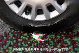 保时捷VS毒蜘蛛，一脚油门踩下去，毒蜘蛛瞬间爆炸了！视频封面