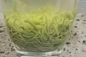 信阳毛尖选育品种信阳十号视频封面