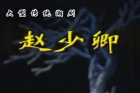 《赵少卿》下集视频封面