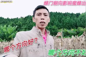 蜂箱摆放重要吗？哪个方向好哪个方向不好？我是这样选择的！视频封面