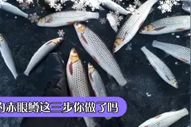 冰钓赤眼鳟，做对这三步，你离爆护不远了视频封面