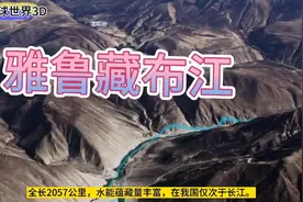 三维地图看西藏巴宜区318国道，雅鲁藏布江，被誉为世界第一峡谷视频封面