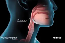 分享，3D动画演示睡眠呼吸暂停，揭示打鼾的本质。视频封面