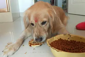 天天吃饭呲牙，一口牙都呲没了还呲呢！