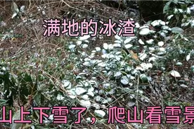今天昆明天气，一1至4度，雨加雪。但雪没降下来，天气是真的冷视频封面