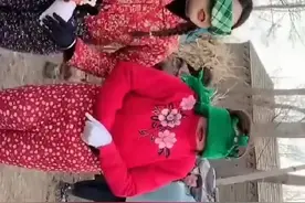 演员  雪姐