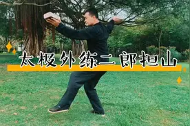 二郎担山，太极拳外功炼法，壮腰肾，增强臂力腿力，内力提升快视频封面