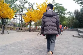 4月23号再次打卡万岁山，看看有什么变化得知70以上凭身份证免费视频封面