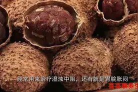 砂仁可化湿开胃、健脾止泻，常用来治疗湿浊中阻，还有脾胃虚寒视频封面