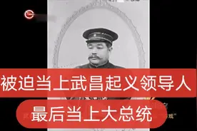 【名家讲述】民国黎元洪——稀里糊涂当上起义领导人视频封面