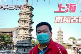 坐上海地铁11号线，游千年南翔古镇，见老寿星双塔，吃特色小笼视频封面