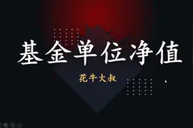 基金单位净值是什么意思？视频封面