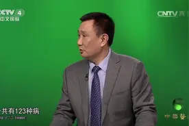 中医是如何认识疑难杂症的？专家现场详细介绍，来听听吧