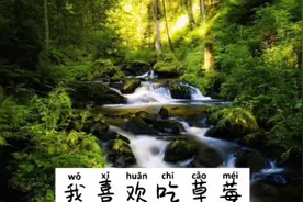 我喜欢你，没有原因。只因为是你！