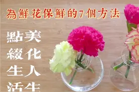 鲜花保鲜法的7个小秘招，只需加一样东西, 就令鲜花持续更长时间视频封面