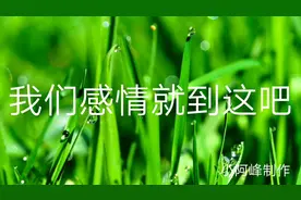 我们的感情就到这吧视频封面