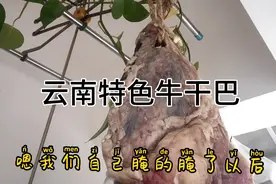 牛干巴的绝密配方，为了人气给大家展示秘密配方，云南人都特想要视频封面
