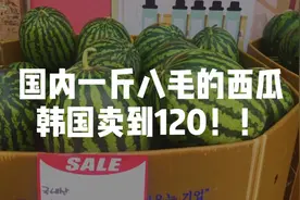 韩国物价到底有多贵，西瓜一个就卖120块，无法实现水果自由视频封面