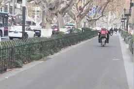 大家知道那个城市的梧桐树最多，你知道吗？